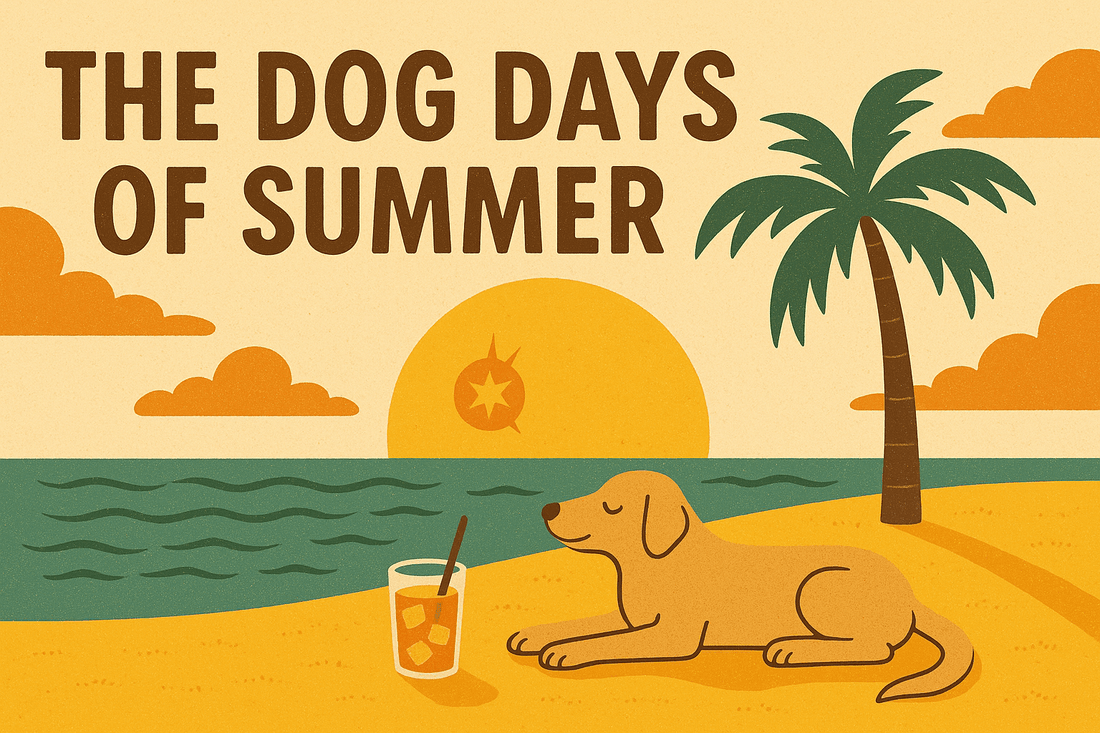 The Dog Days of Summer: History, Heat, and How to Make the Most of Them - The Bookstore