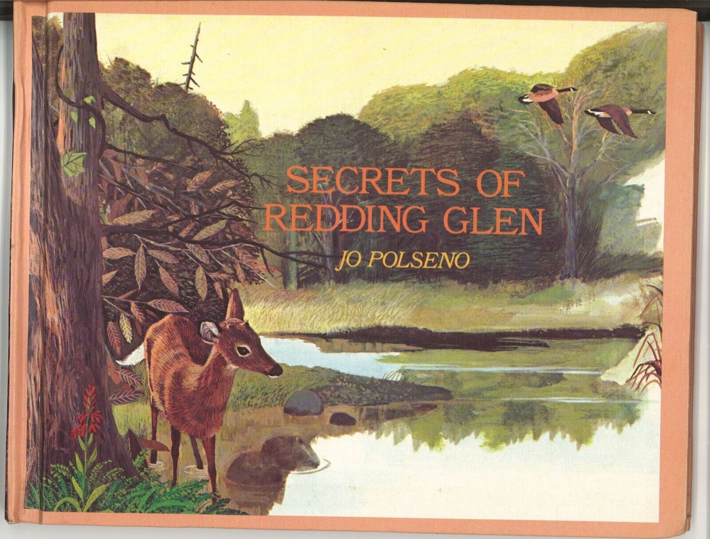 Secrets of Redding Glen The Natural History of a Wooded Valley