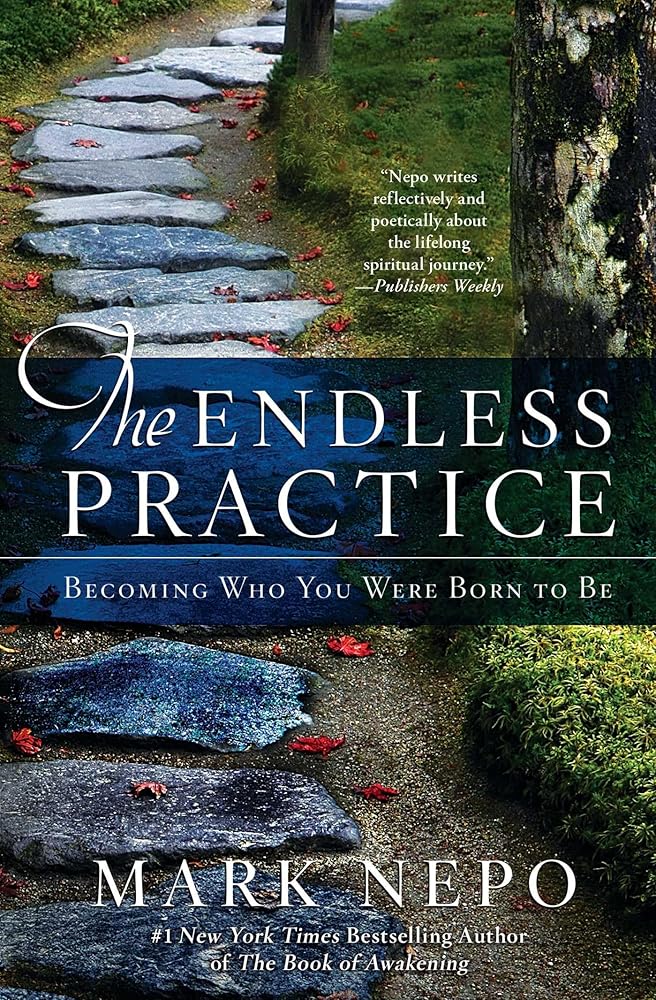 The Endless Practice: Becoming Who You Were Born to Be cover image