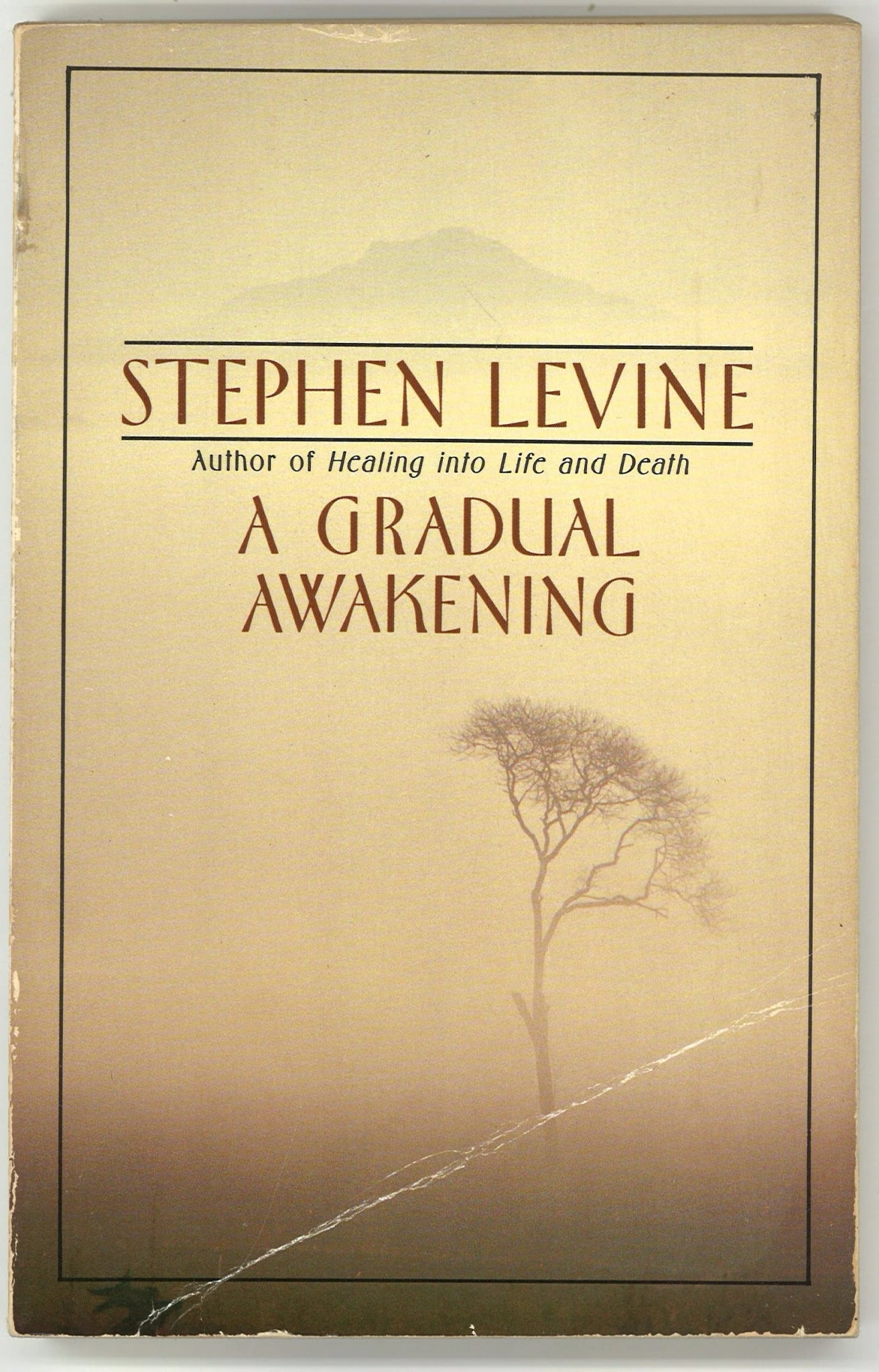 A Gradual Awakening - The Bookstore
