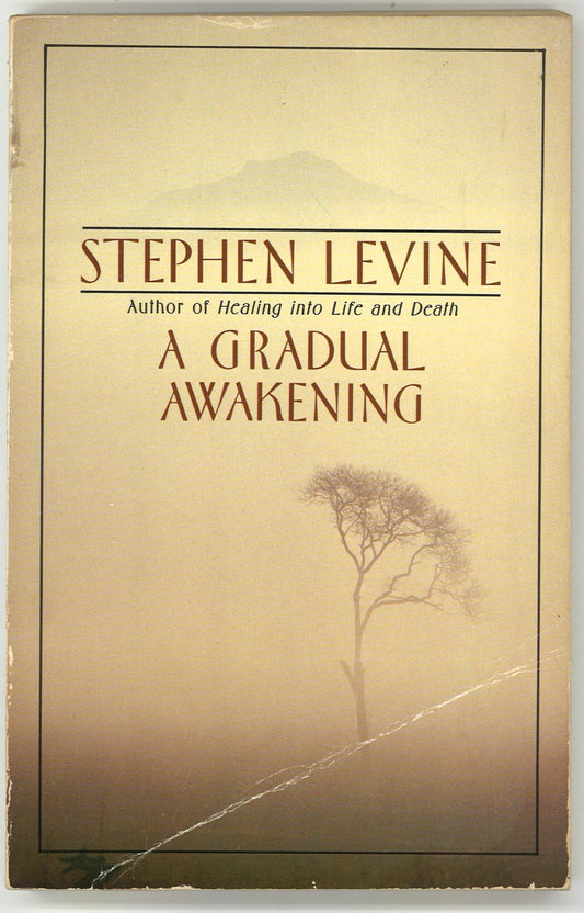 A Gradual Awakening - The Bookstore