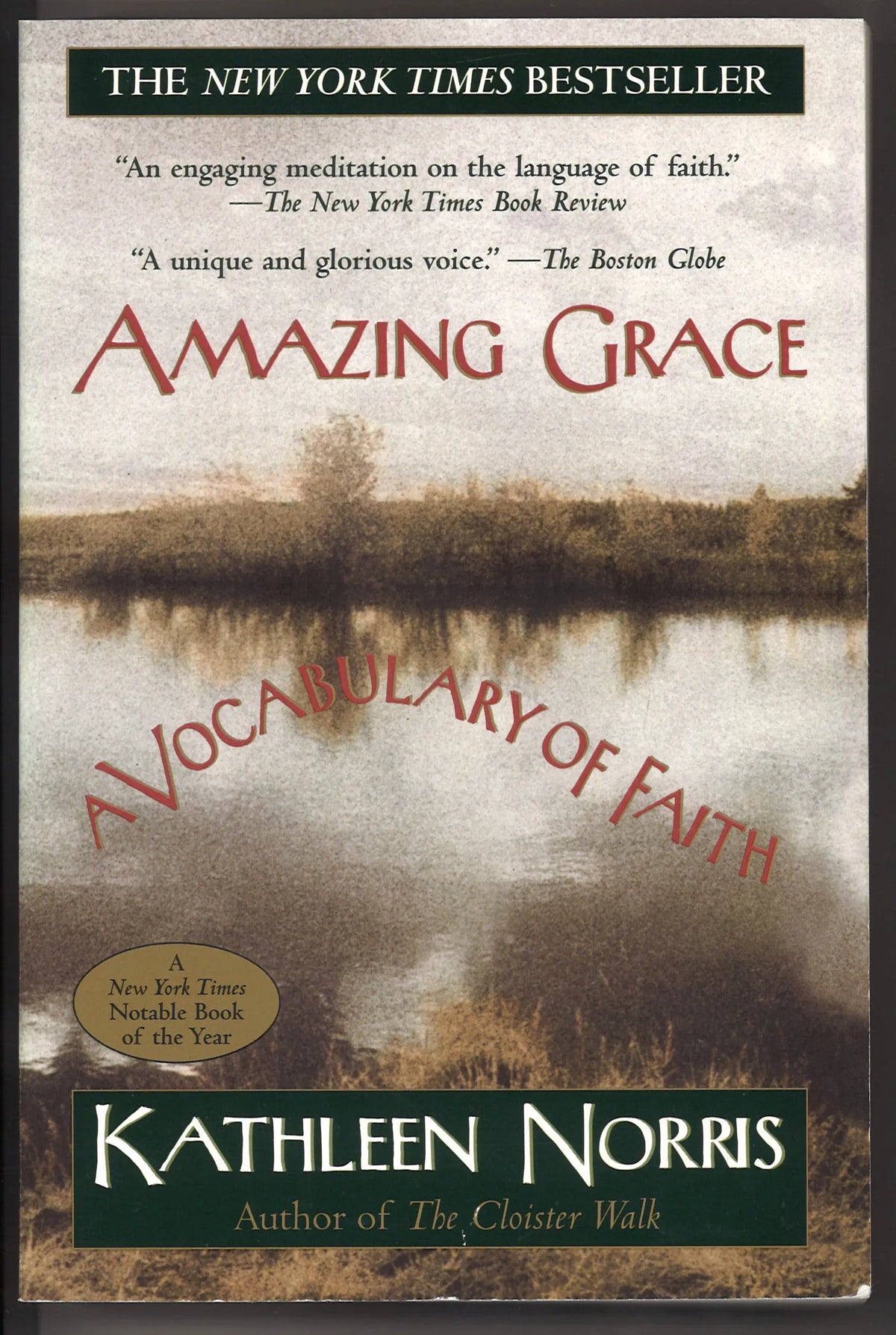 Amazing Grace: A Vocabulary of Faith