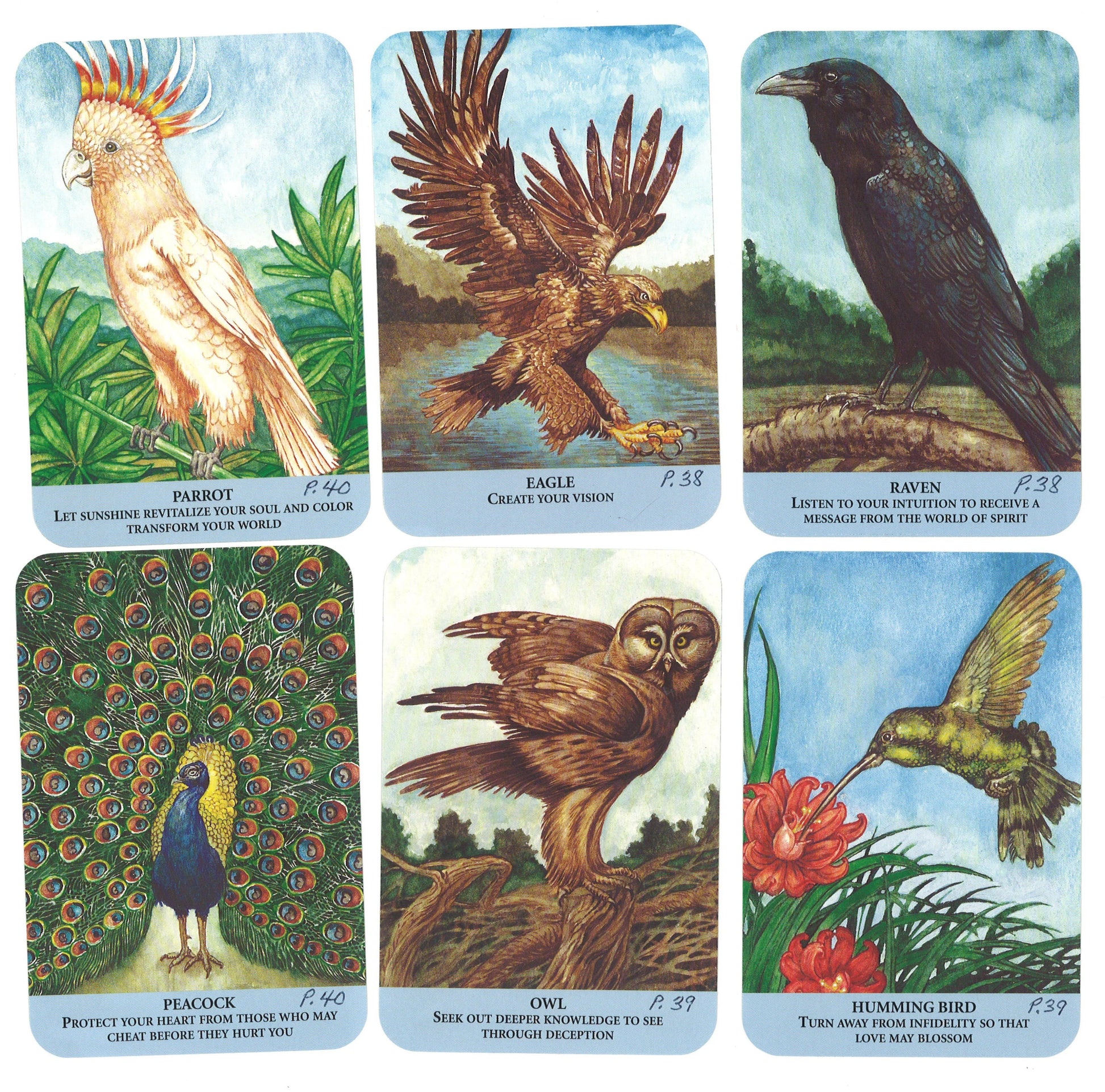 Animal Messages: Seek Inspiration from Your Animal Guides - The Bookstore