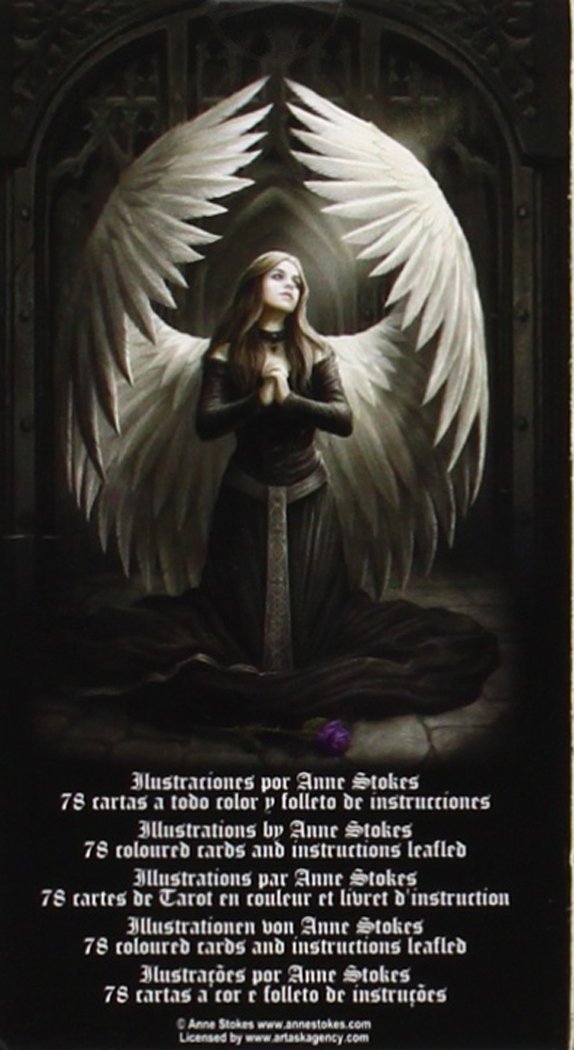 Anne Stokes Gothic Tarot - The Bookstore