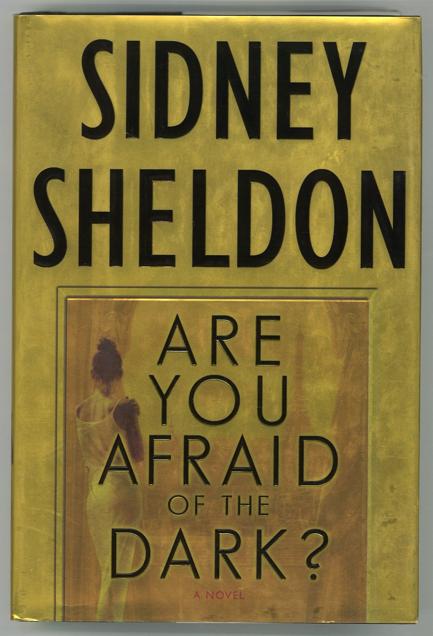 Are You Afraid of the Dark? : A Novel - The Bookstore