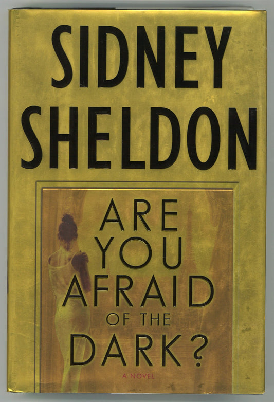 Are You Afraid of the Dark? : A Novel - The Bookstore