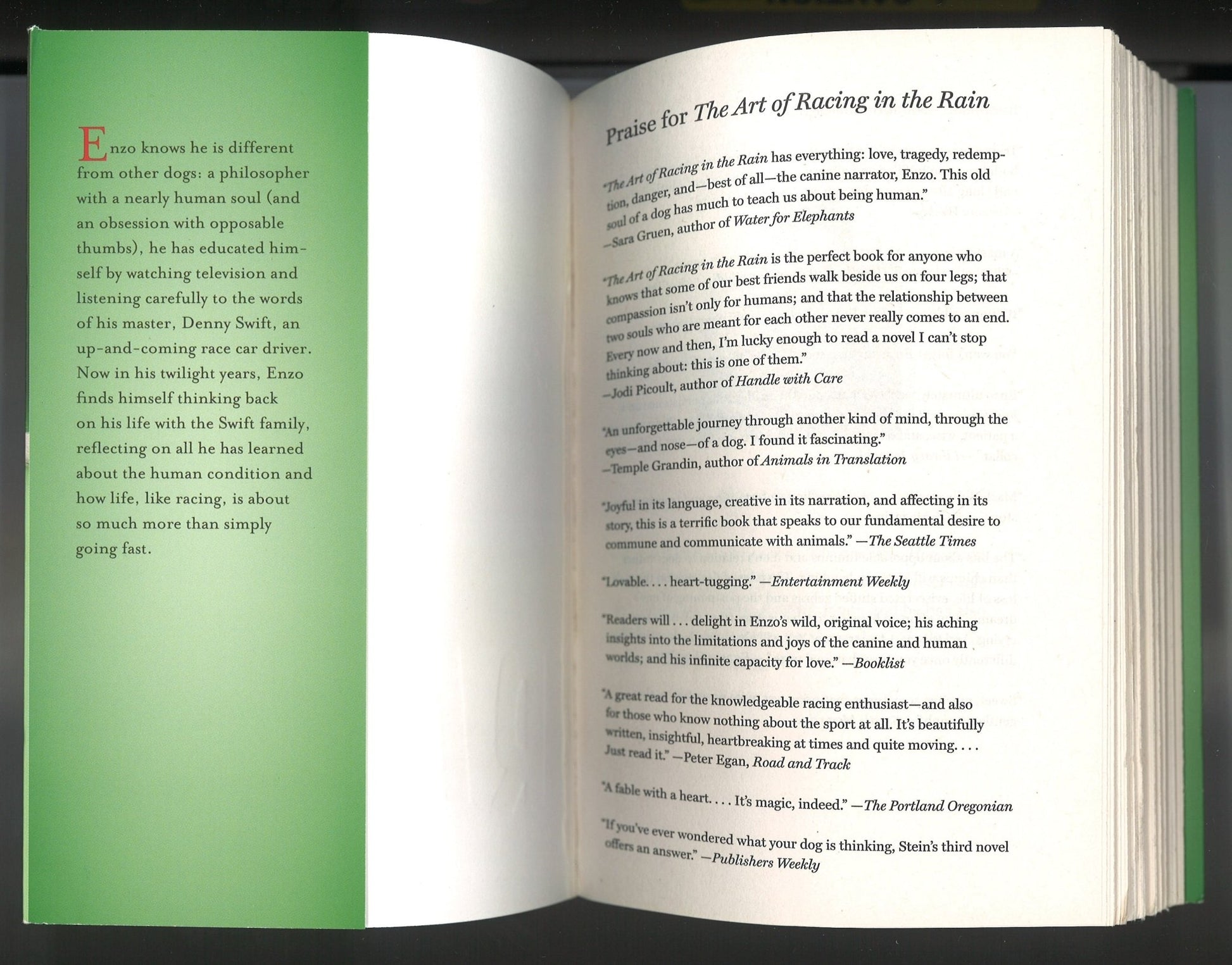 Art Of Racing In The Rain - The Bookstore