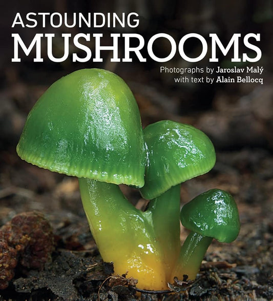 Astounding Mushrooms - The Bookstore