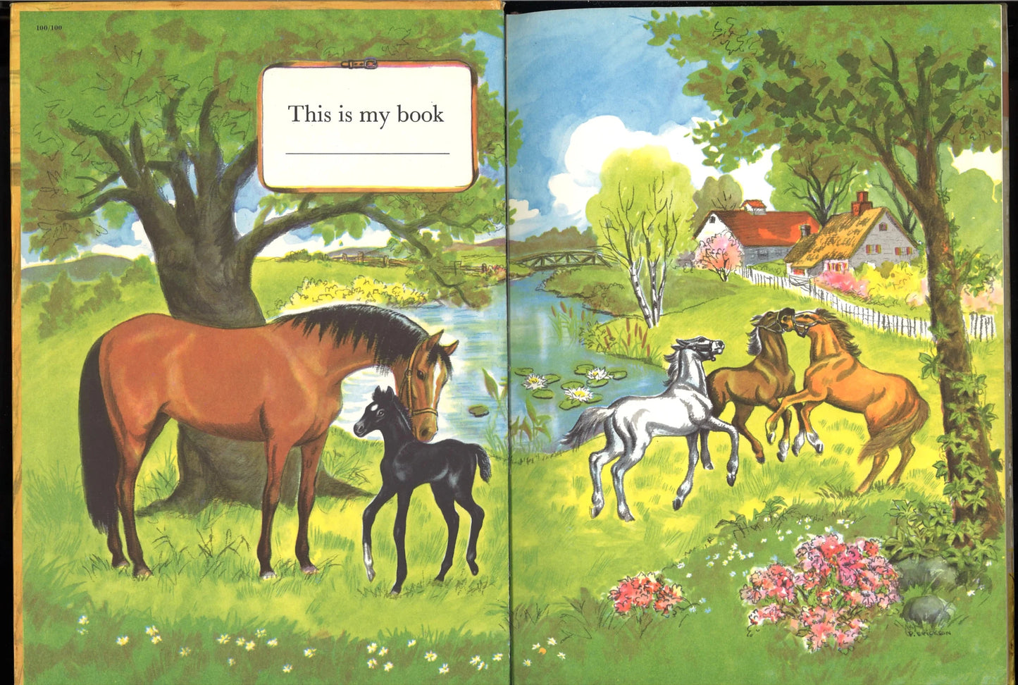 Black Beauty - The Bookstore