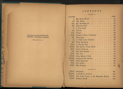 Black Beauty - The Bookstore