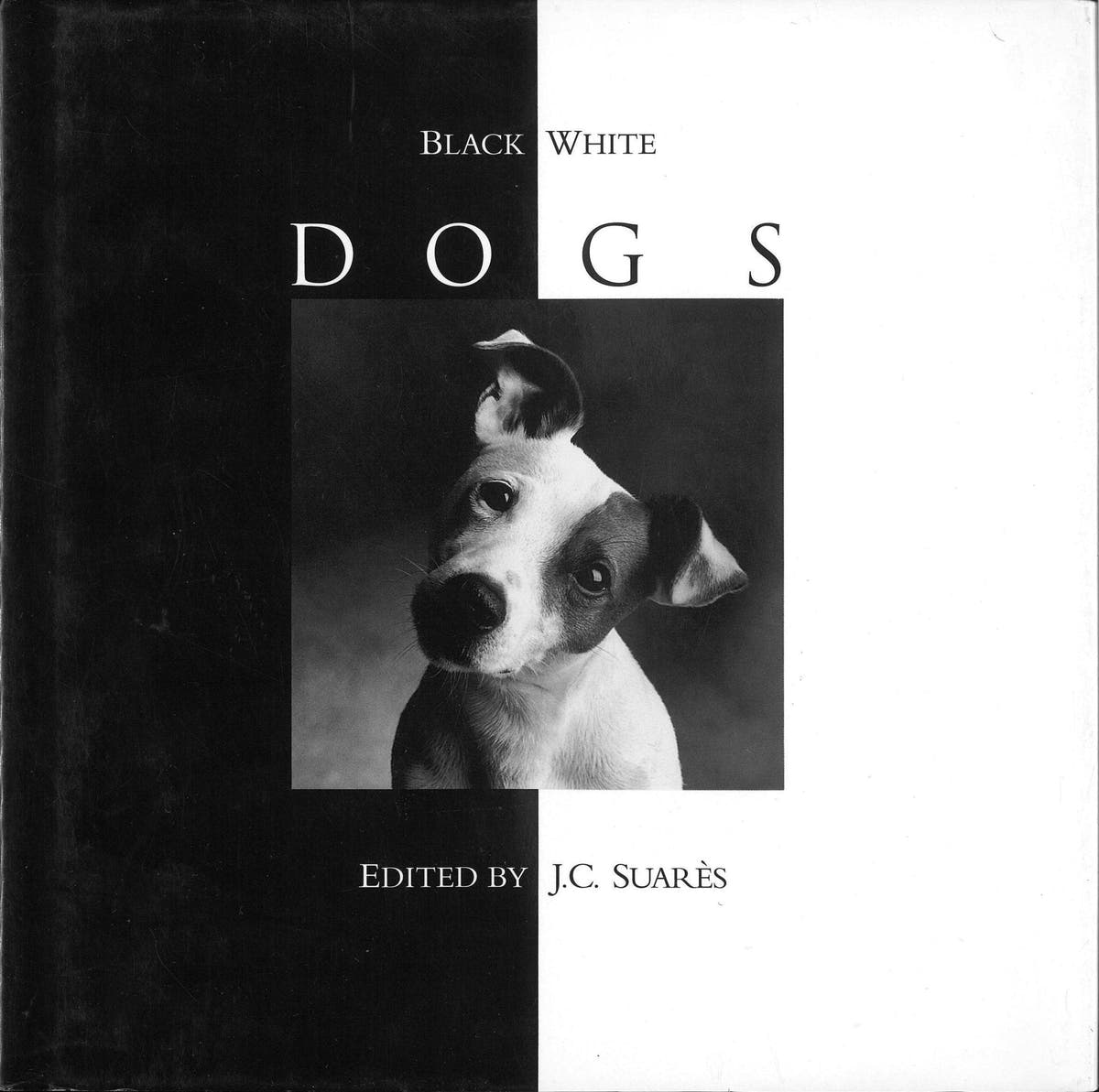 Black & White Dogs J C Suarès