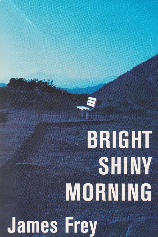 Bright Shiny Morning - The Bookstore