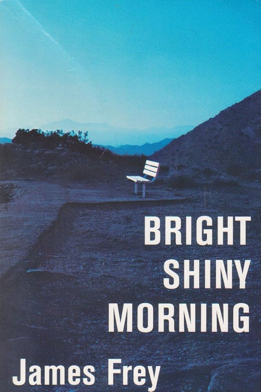 Bright Shiny Morning - The Bookstore