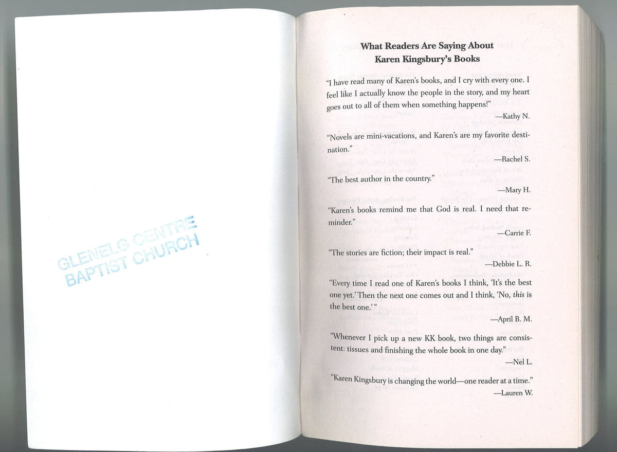 Brush of Wings (Angels Walking, 3) Karen Kingsbury