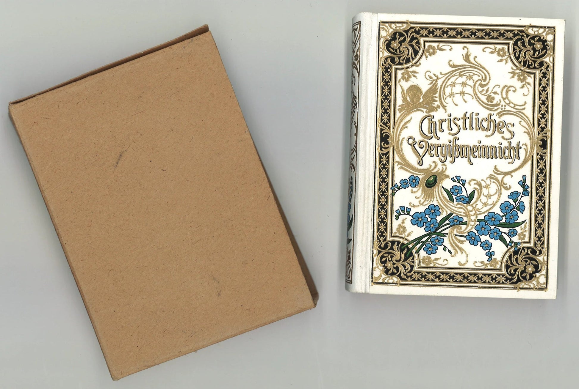 Christliches Vergißmeinnicht (Christian Forget-Me-Not) Paul Langbein