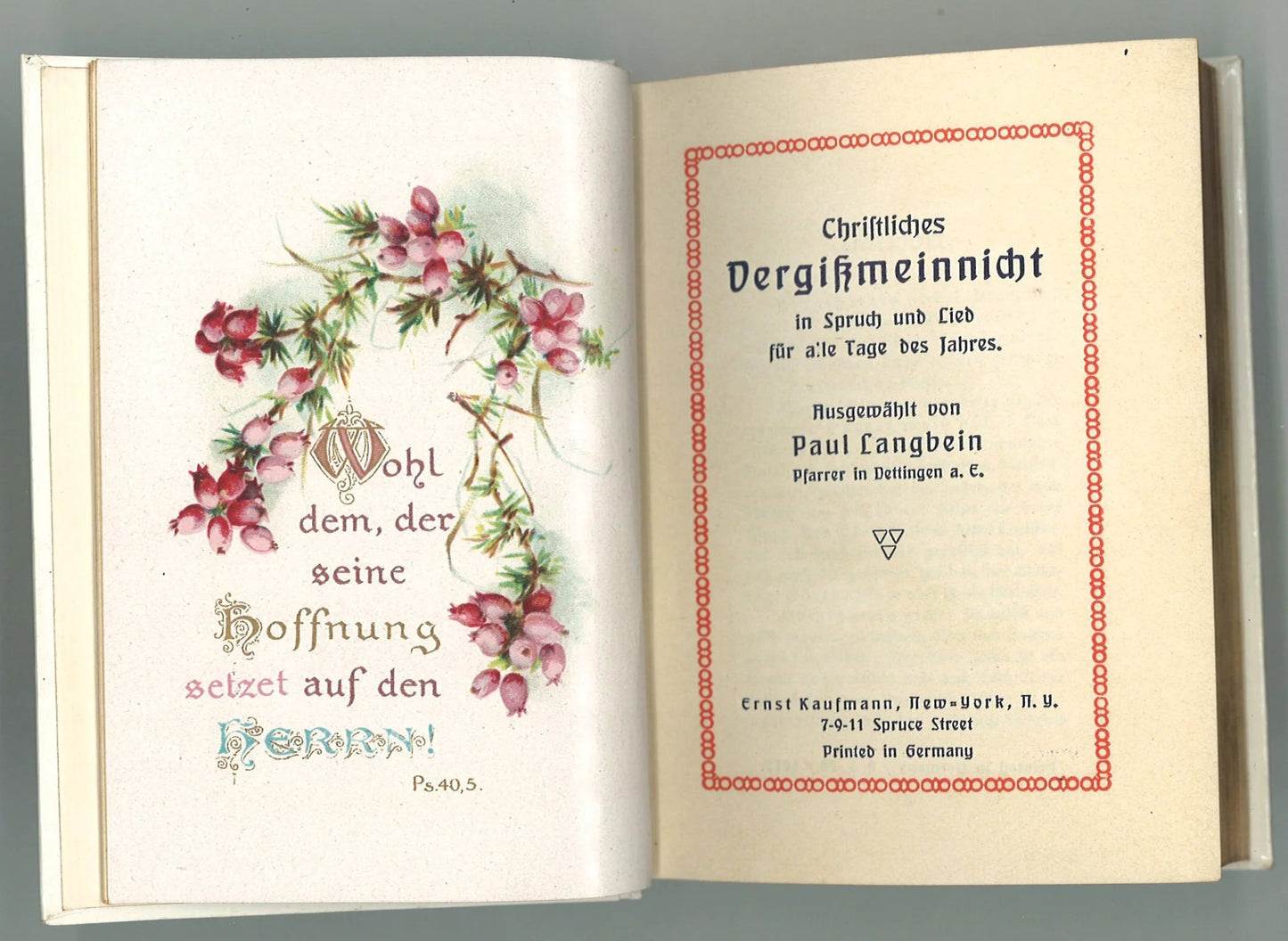 Christliches Vergißmeinnicht (Christian Forget-Me-Not) Paul Langbein