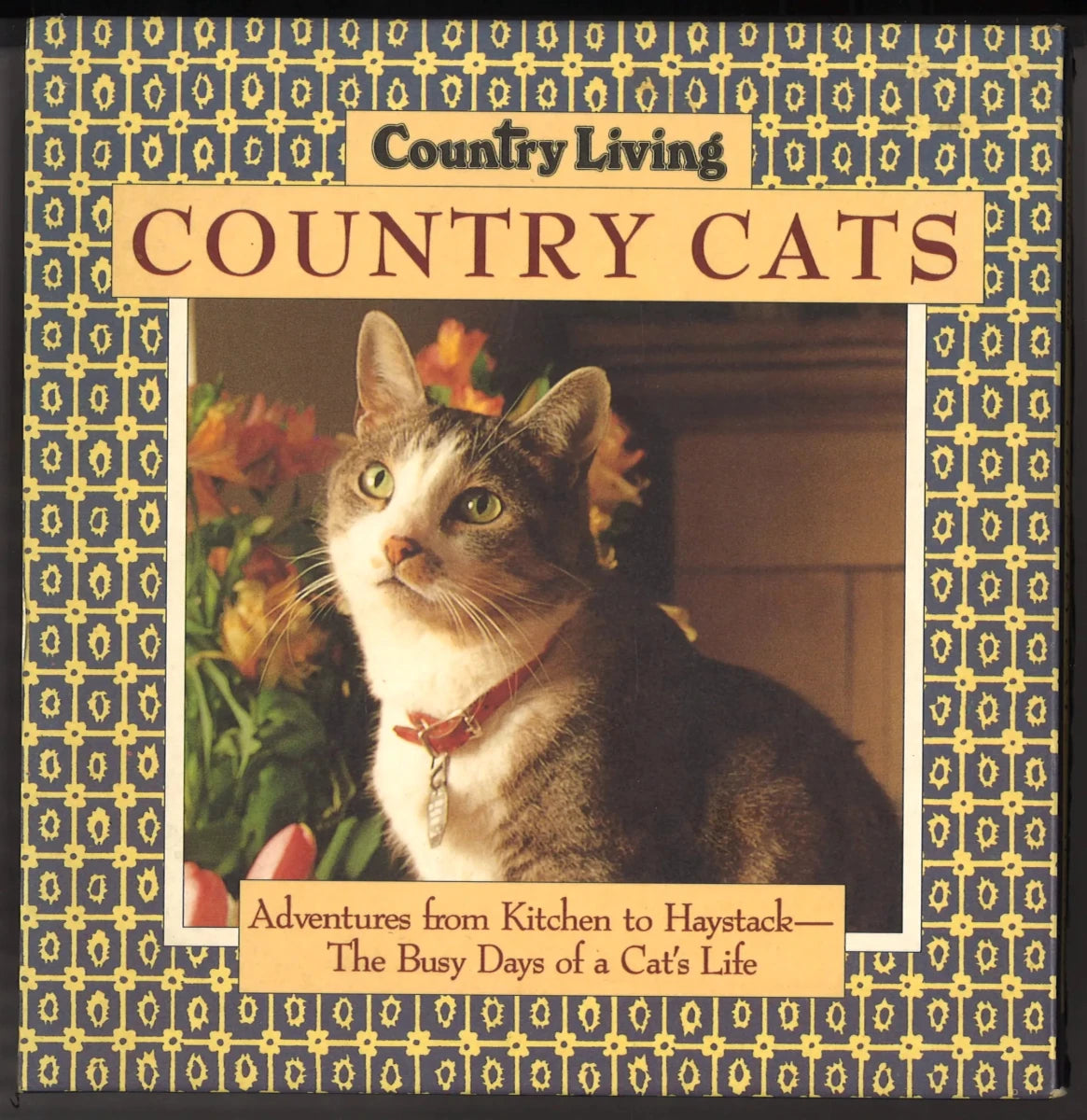 Country Living Country Cats with Slipcase - First Edition - The Bookstore