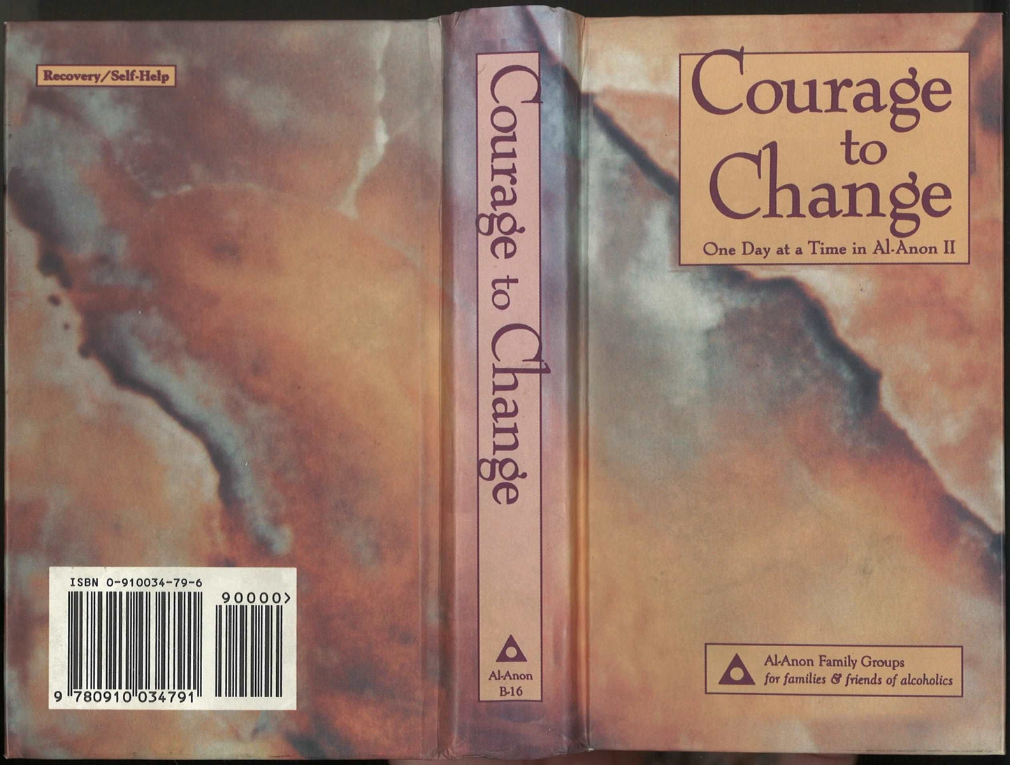 Courage to Change: One Day at a Time in Al - Anon II - The Bookstore