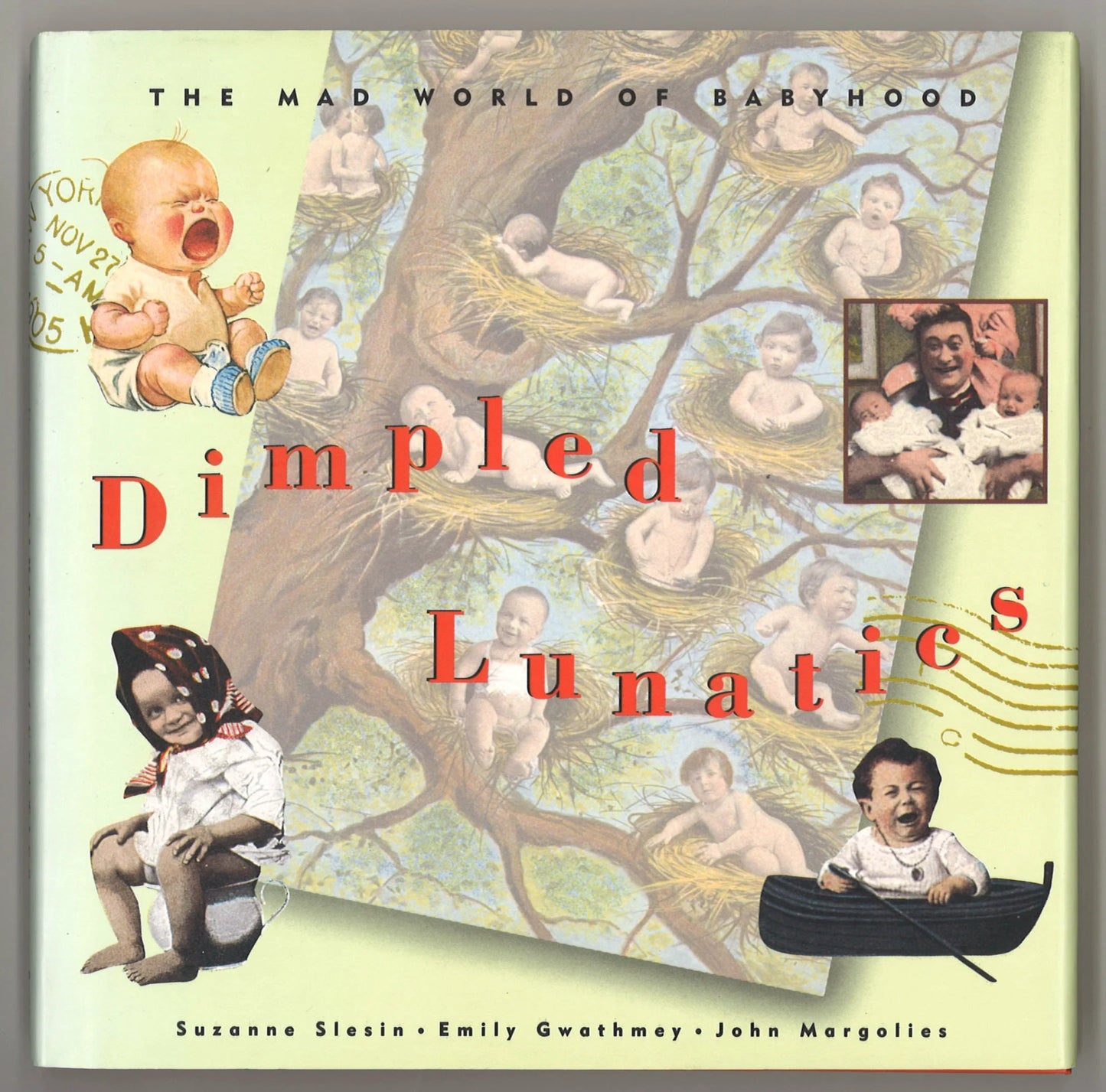 Dimpled Lunatics: The Mad World of Babyhood - The Bookstore