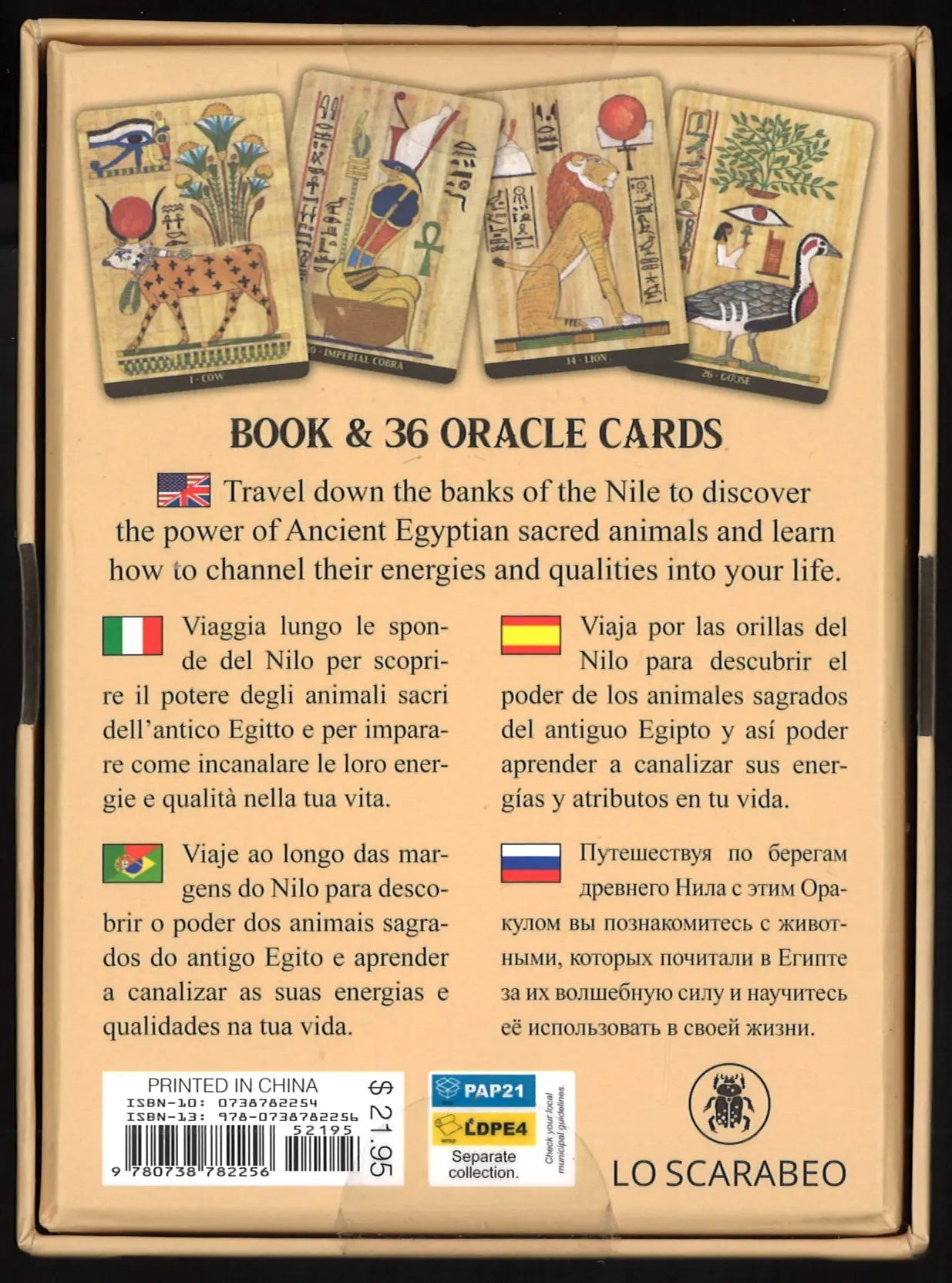Egyptian Sacred Animals Oracle Cards - The Bookstore