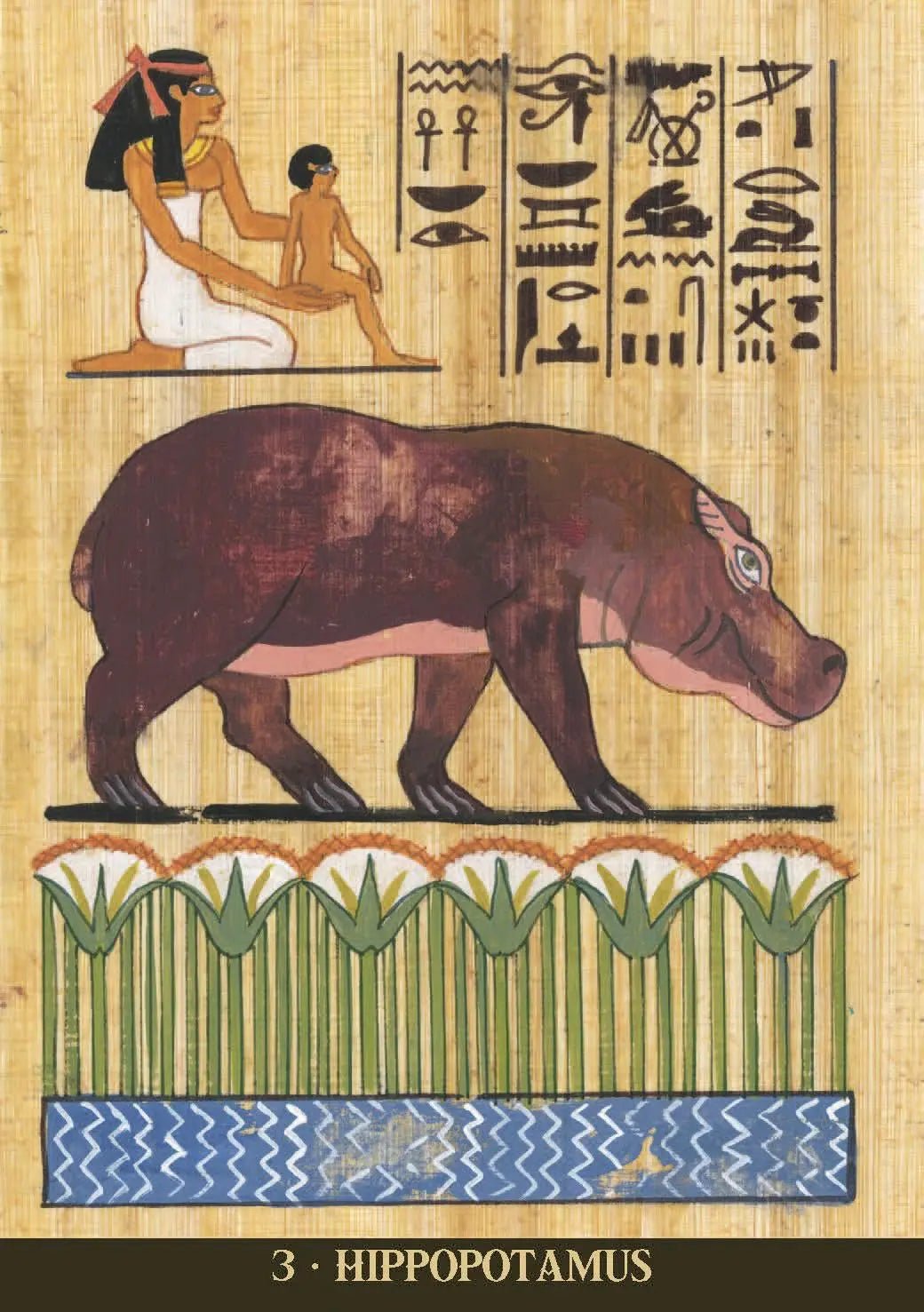 Egyptian Sacred Animals Oracle Cards - The Bookstore