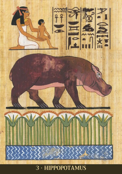 Egyptian Sacred Animals Oracle Cards - The Bookstore