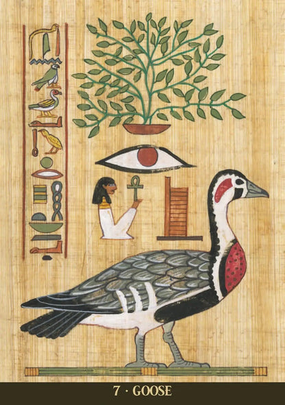 Egyptian Sacred Animals Oracle Cards - The Bookstore