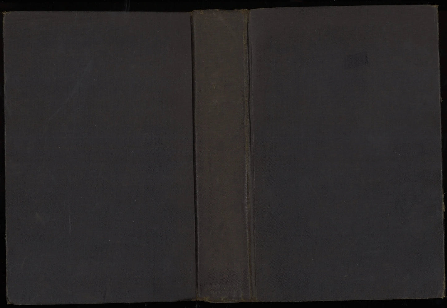 Elizabeth and Essex: A Tragic History - The Bookstore