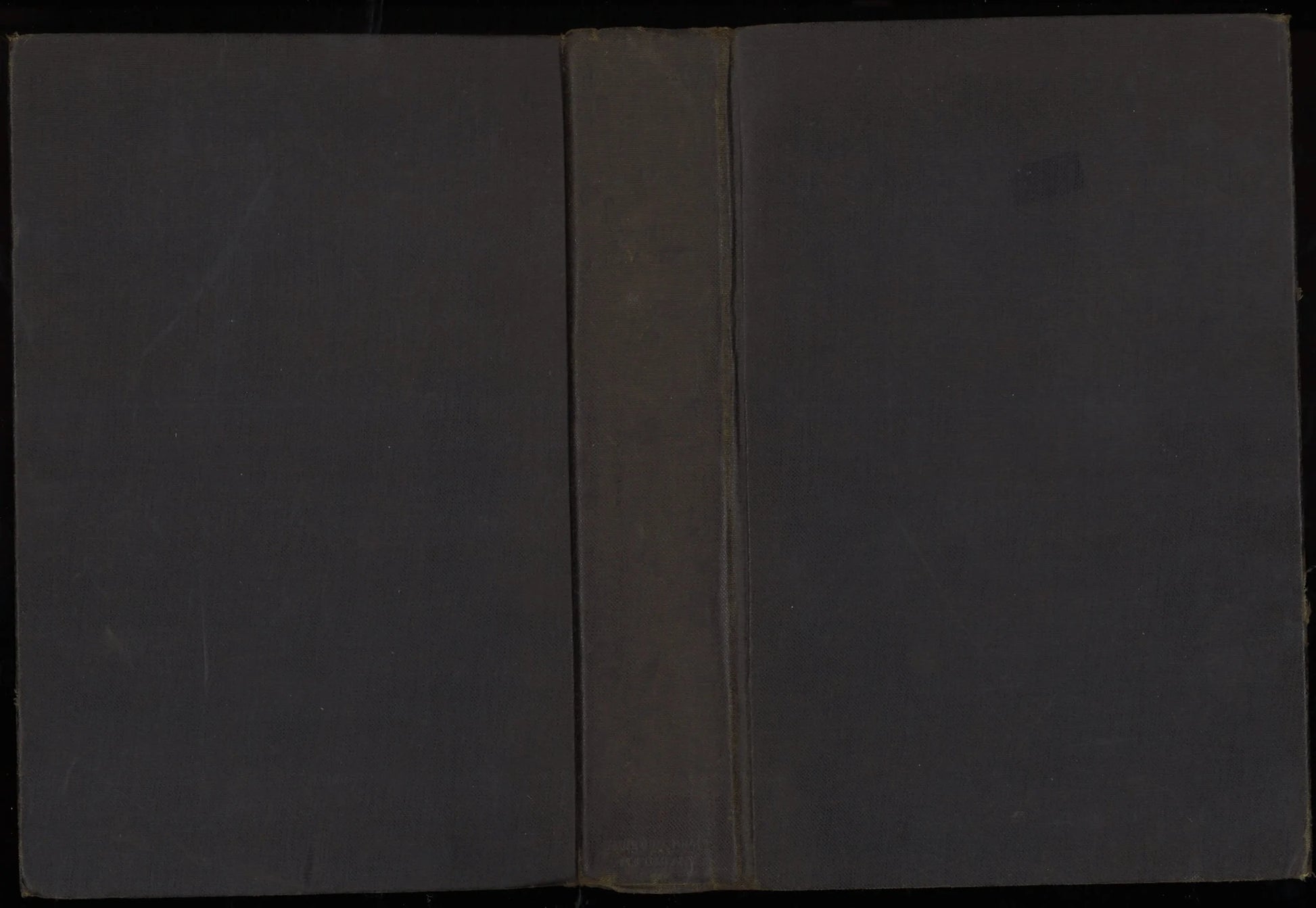 Elizabeth and Essex: A Tragic History - The Bookstore