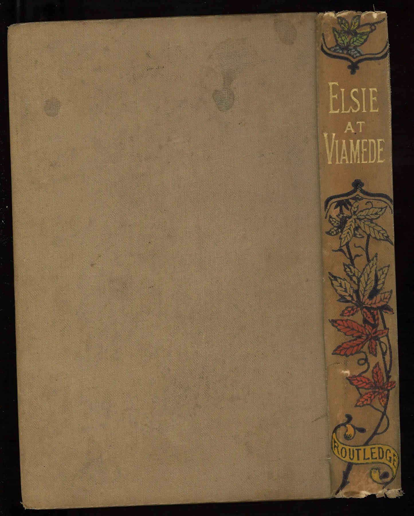 Elsie at Viamede (The Elsie Books, 18)