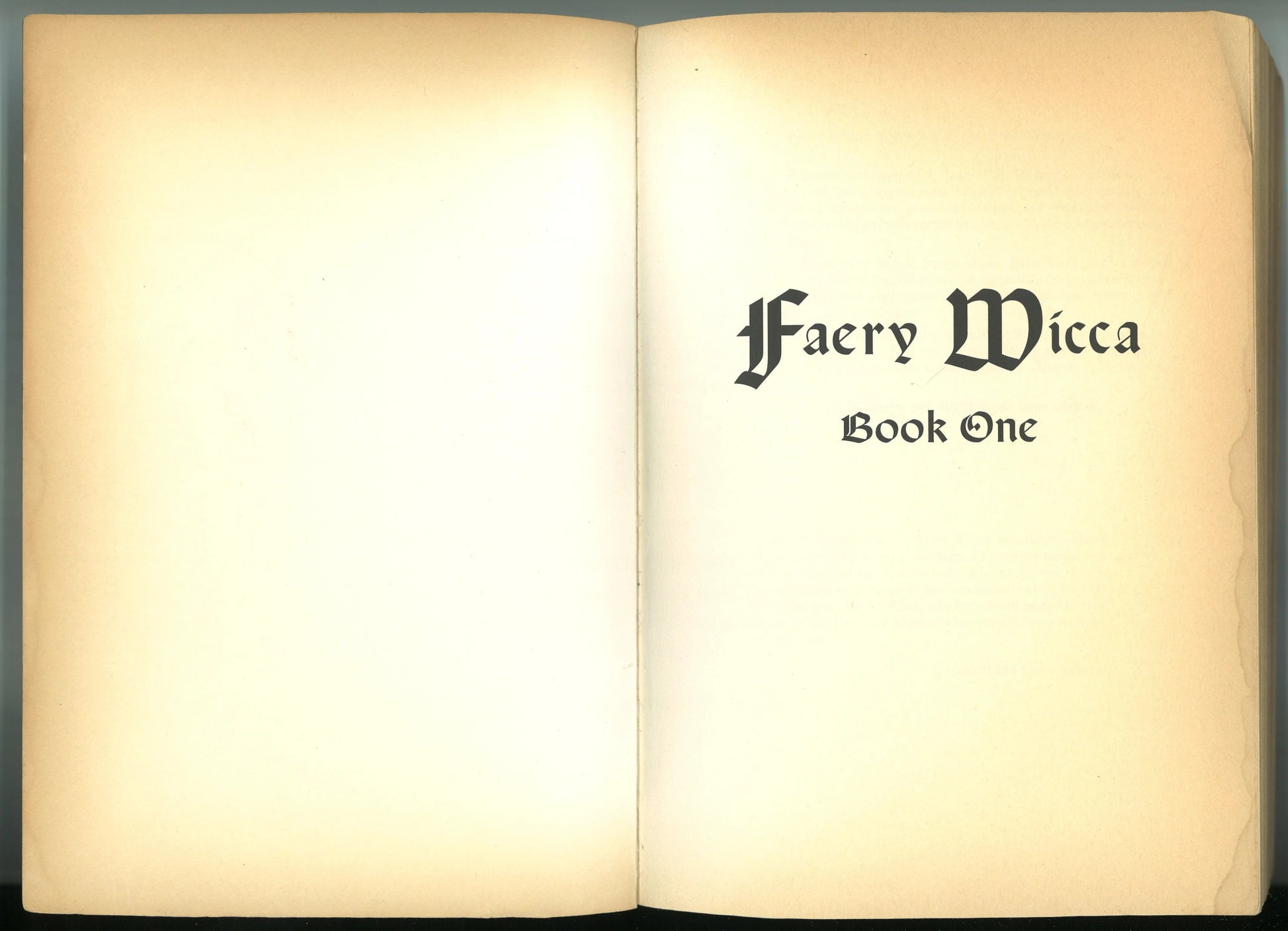 Faery Wicca, Book 1: Theory and Magick, a Book of Shadows and Lights (The Ancient Oral Faery Tradition of Ireland) - The Bookstore