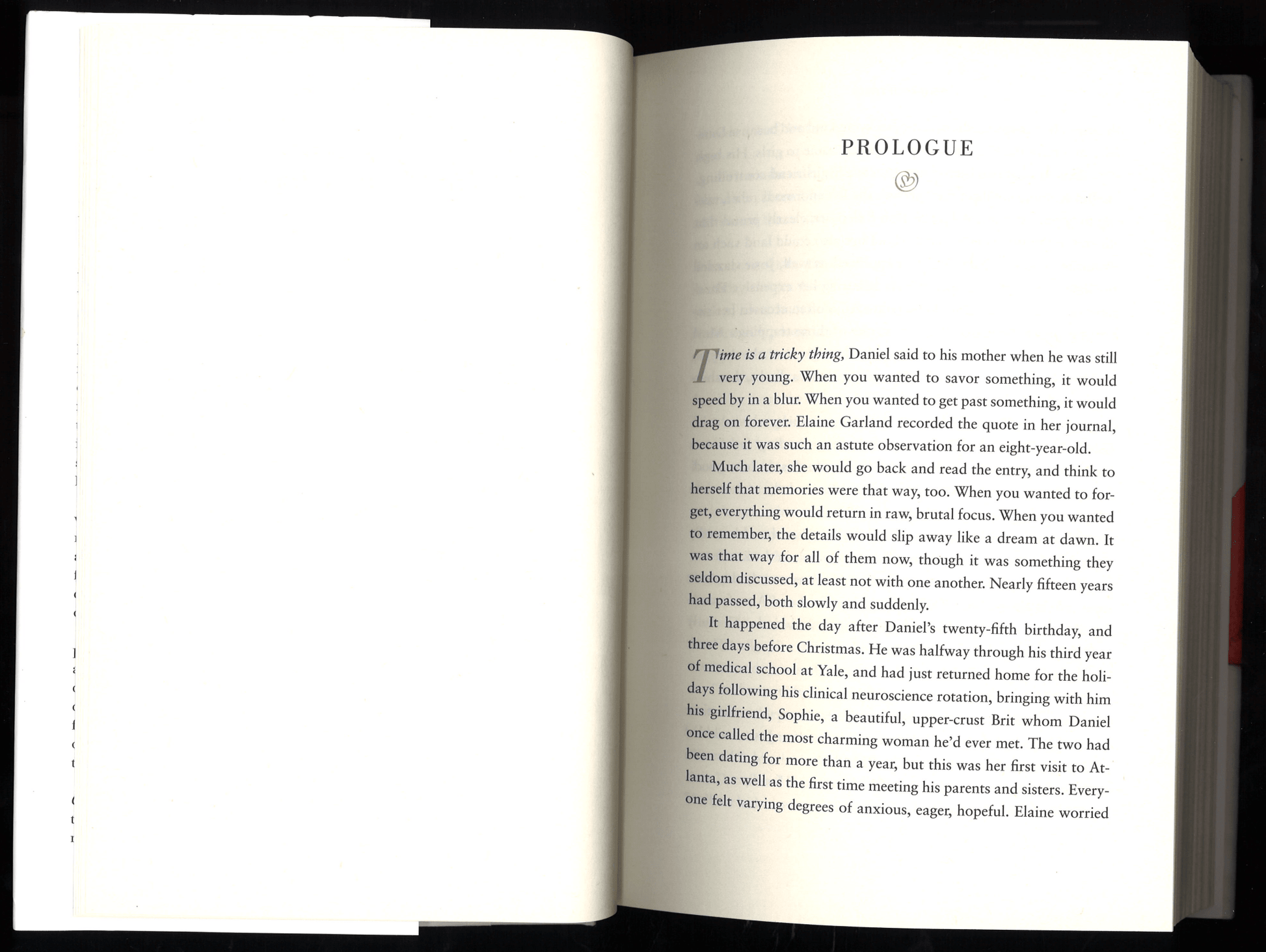 First Comes Love: A Novel - The Bookstore