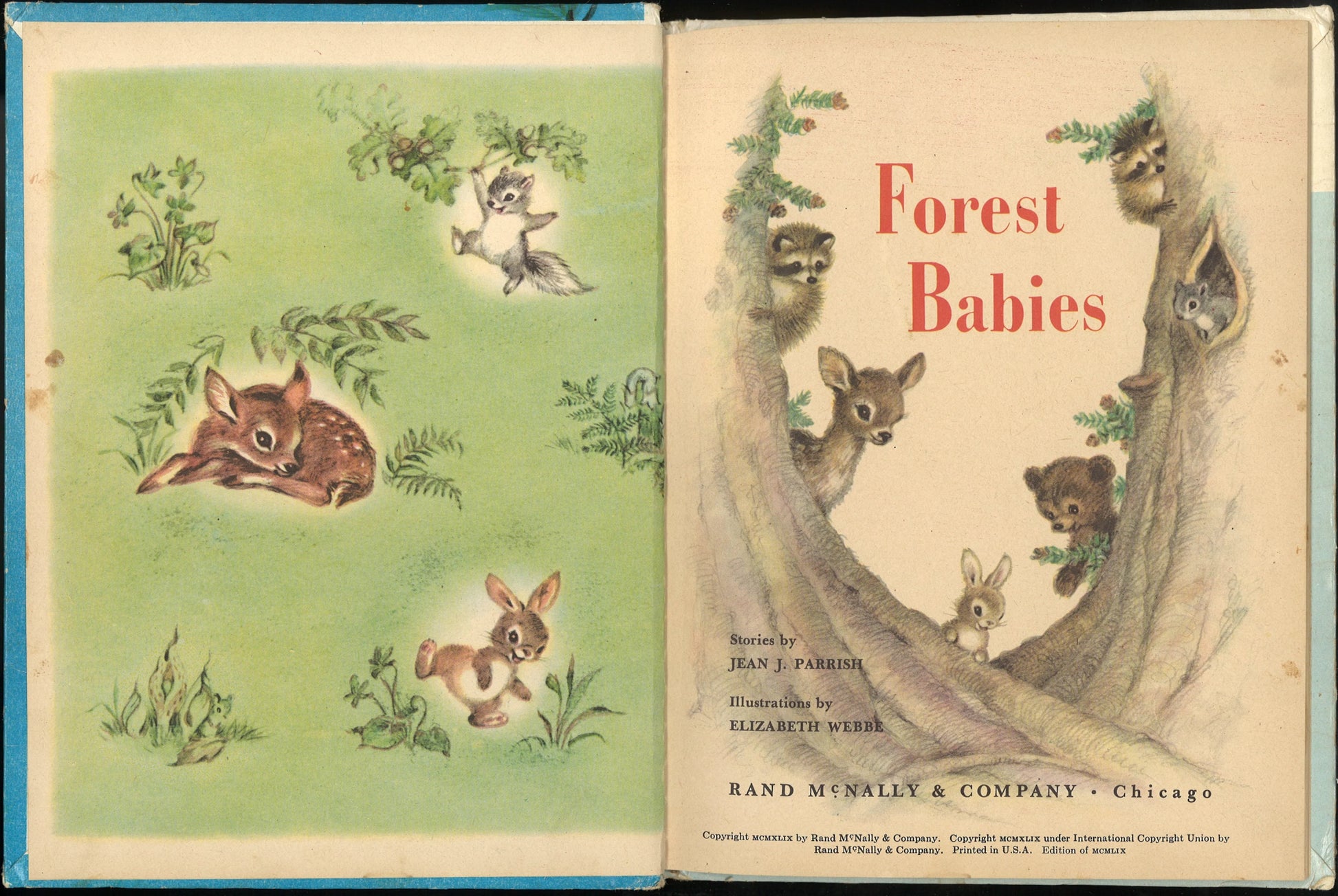 Forest Babies - The Bookstore