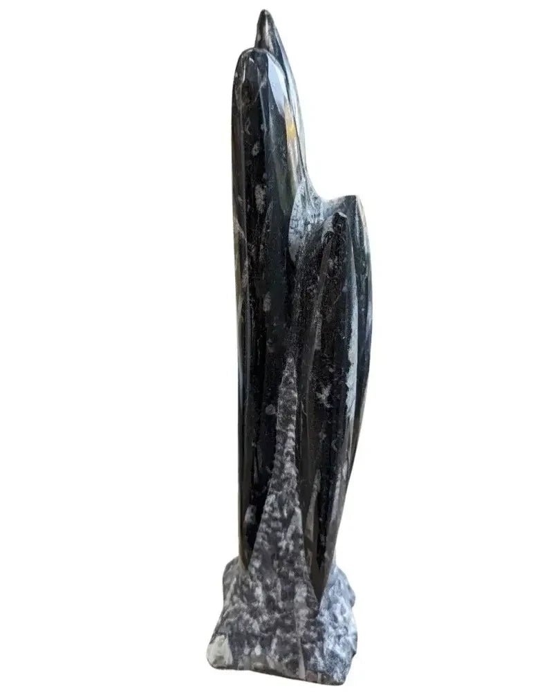 Genuine Orthoceras Sculpture - The Bookstore