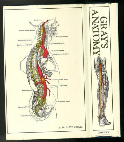 Gray's Anatomy (The Classic Collector's Edition) - The Bookstore