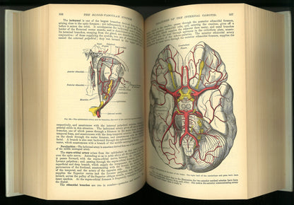 Gray's Anatomy (The Classic Collector's Edition) - The Bookstore