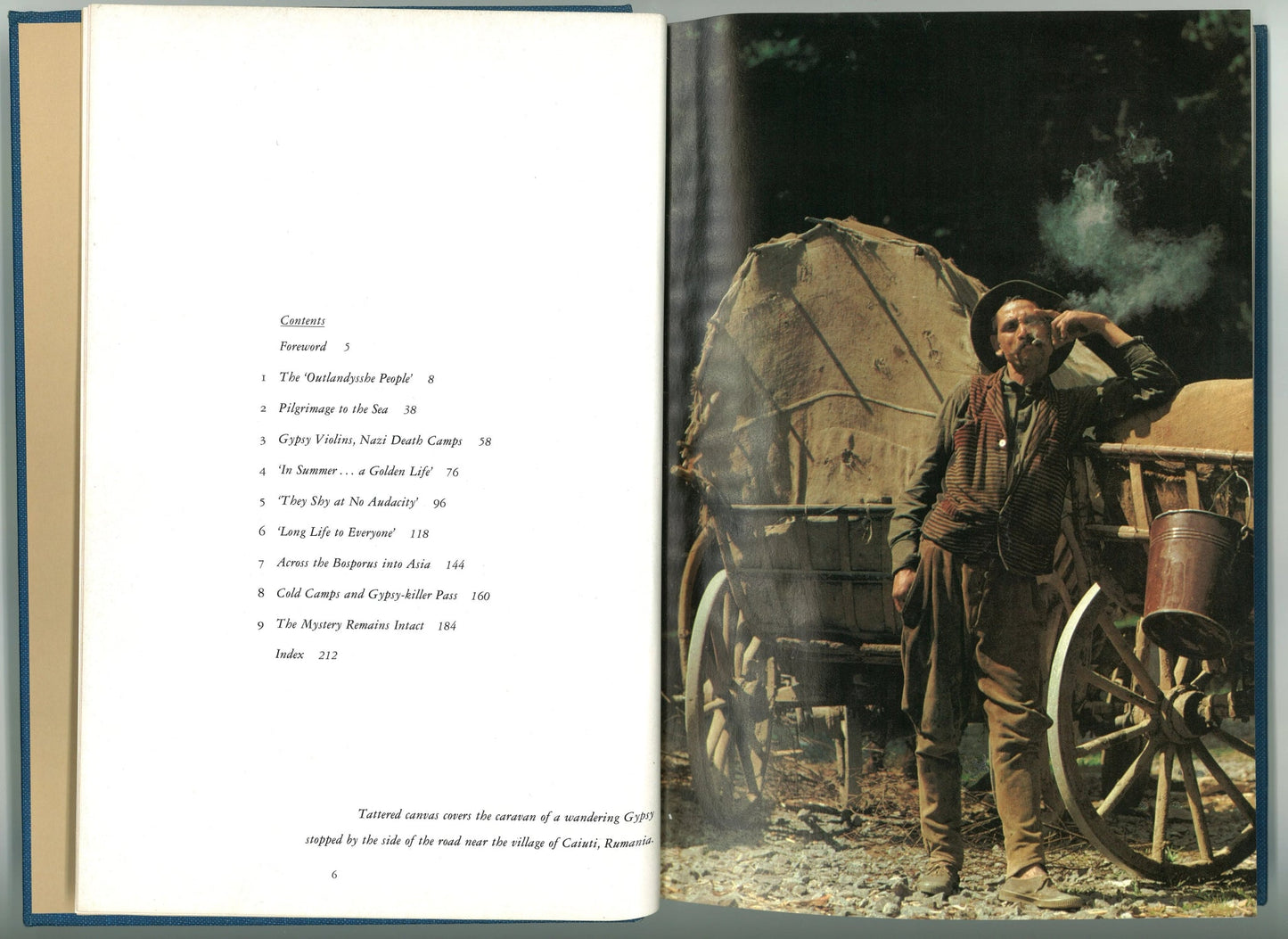 Gypsies: Wanderers of The World National Geographic Society, Bart McDowell