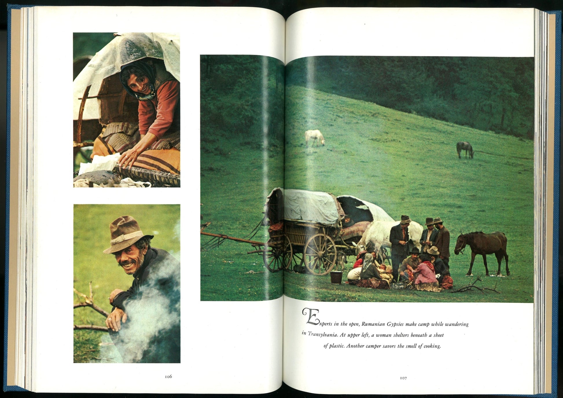 Gypsies: Wanderers of The World National Geographic Society, Bart McDowell