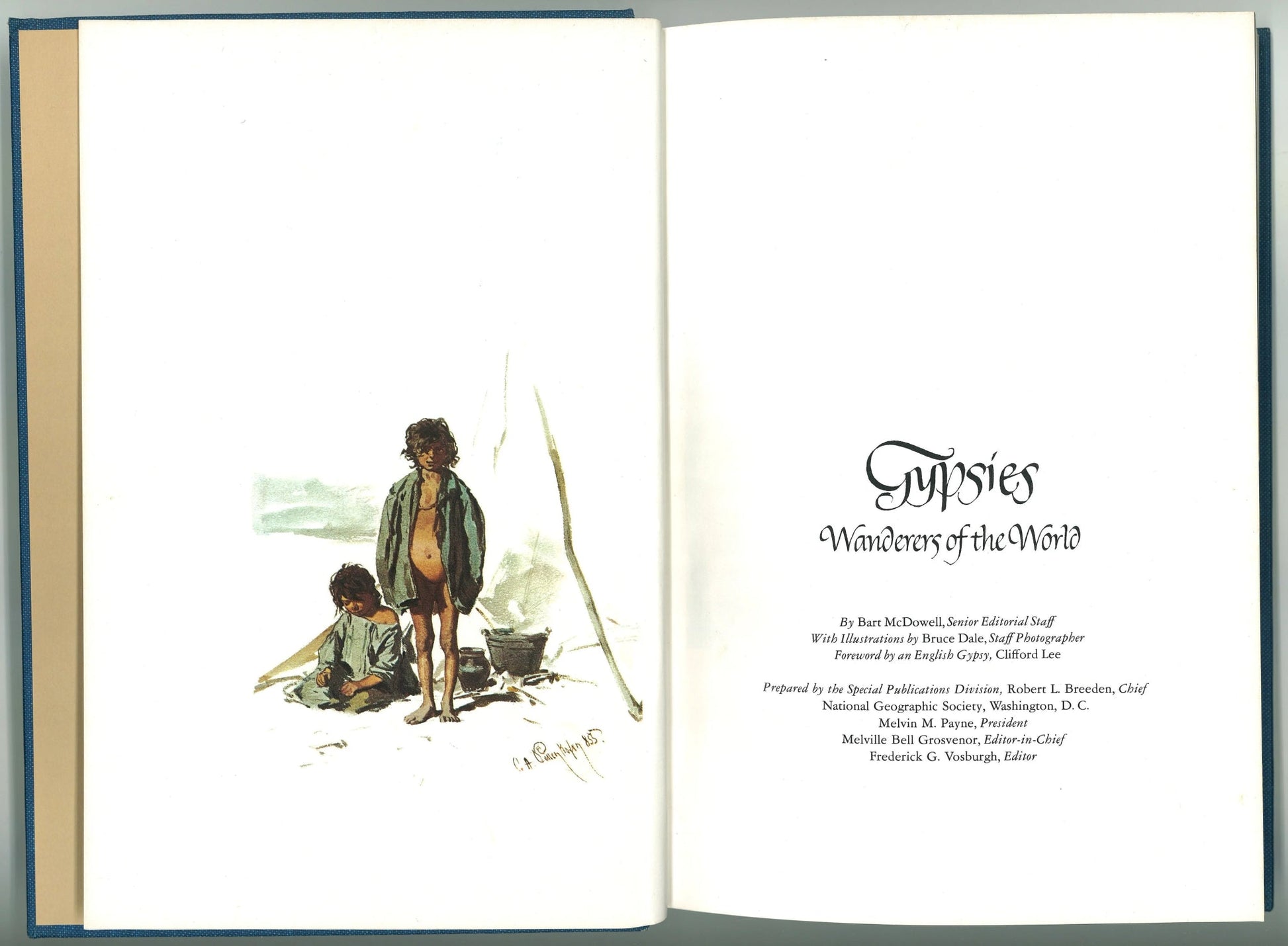 Gypsies: Wanderers of The World National Geographic Society, Bart McDowell
