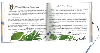 Herbs: Delectables For All Seasons Maryjo Koch