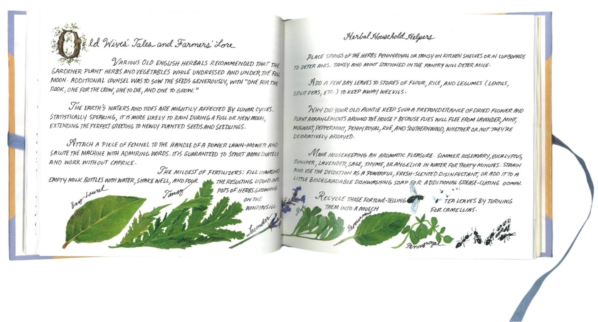 Herbs: Delectables For All Seasons - The Bookstore