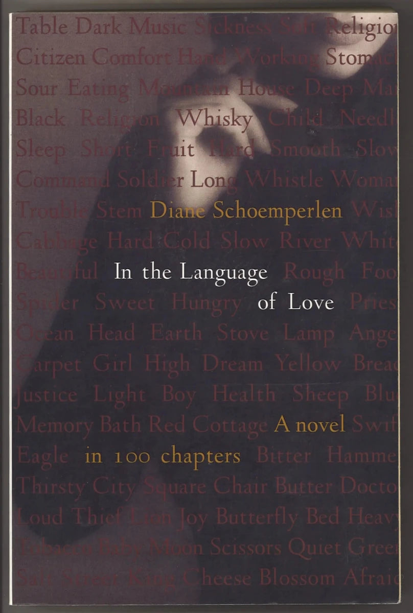 In the language of love : a novel in 100 chapters - The Bookstore