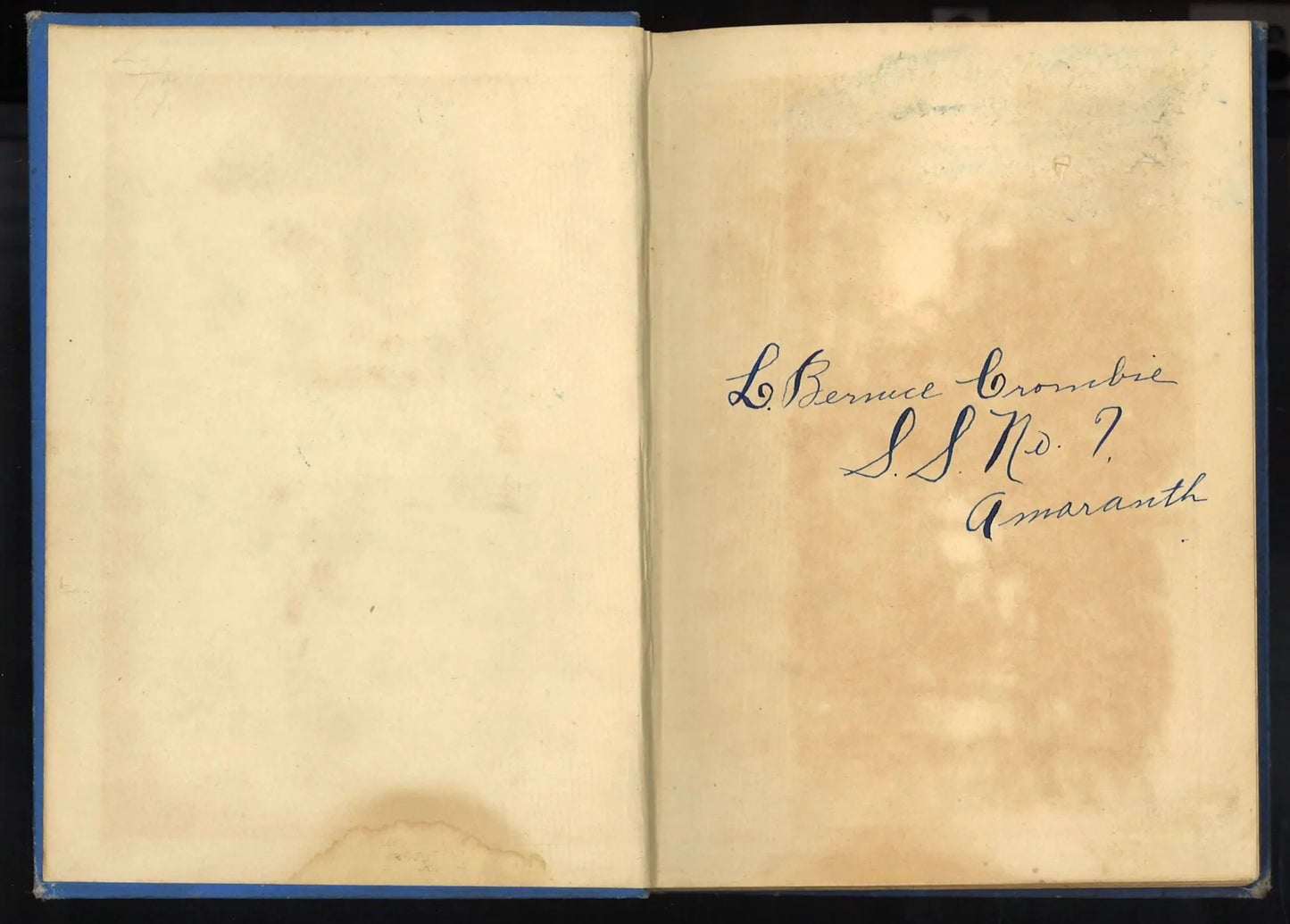 Kitty's Cousin (circa 1885-1895) - The Bookstore