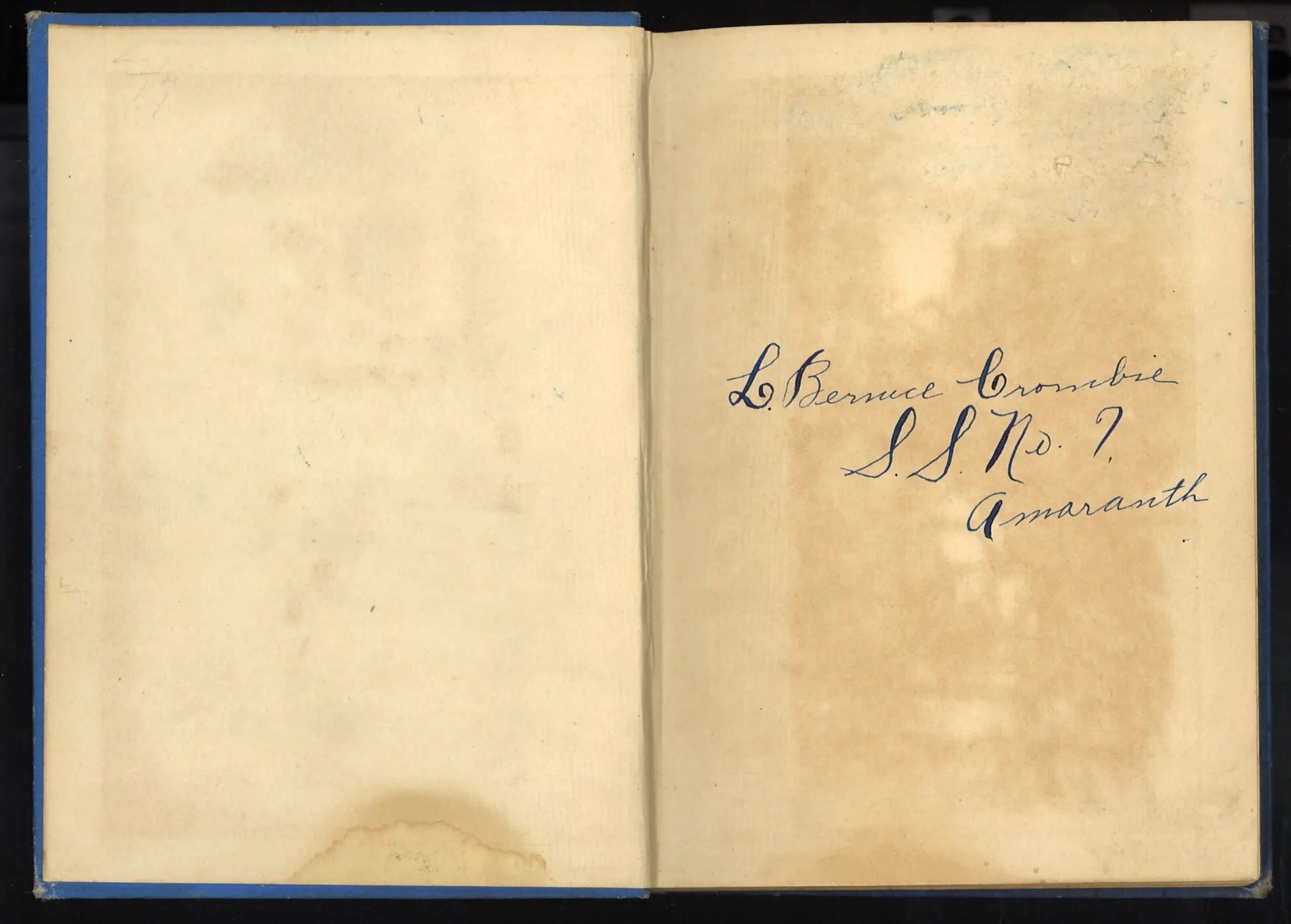 Kitty's Cousin (circa 1885-1895) - The Bookstore