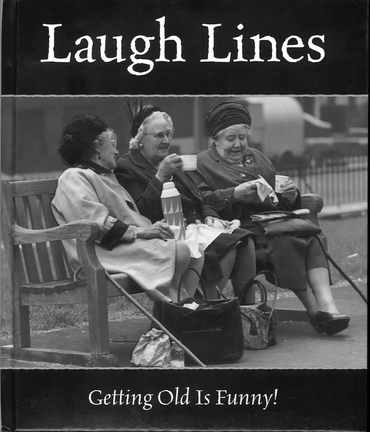 Laugh Lines by Alison Pohn - The Bookstore