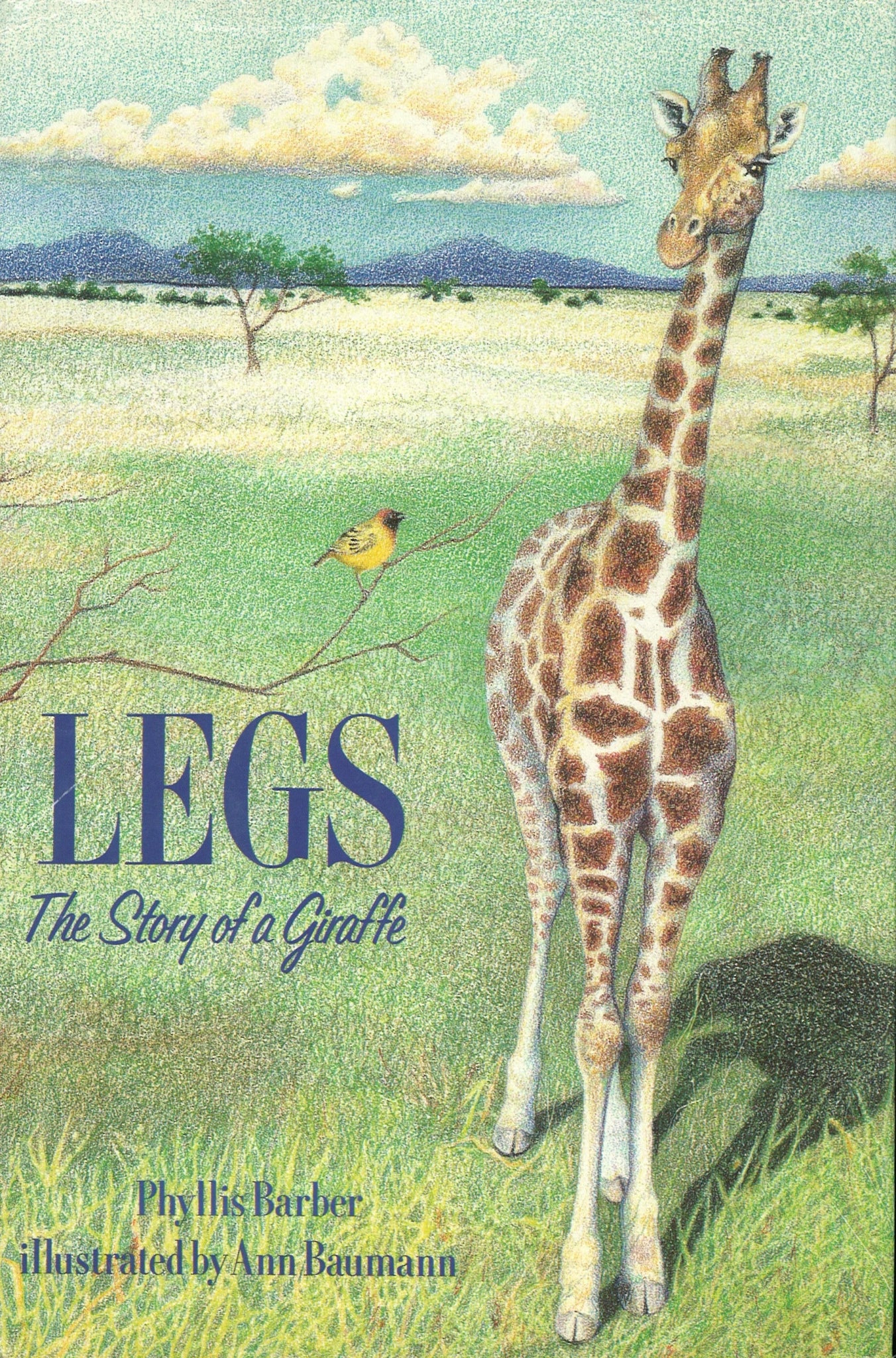 Legs the Story of a Giraffe - The Bookstore