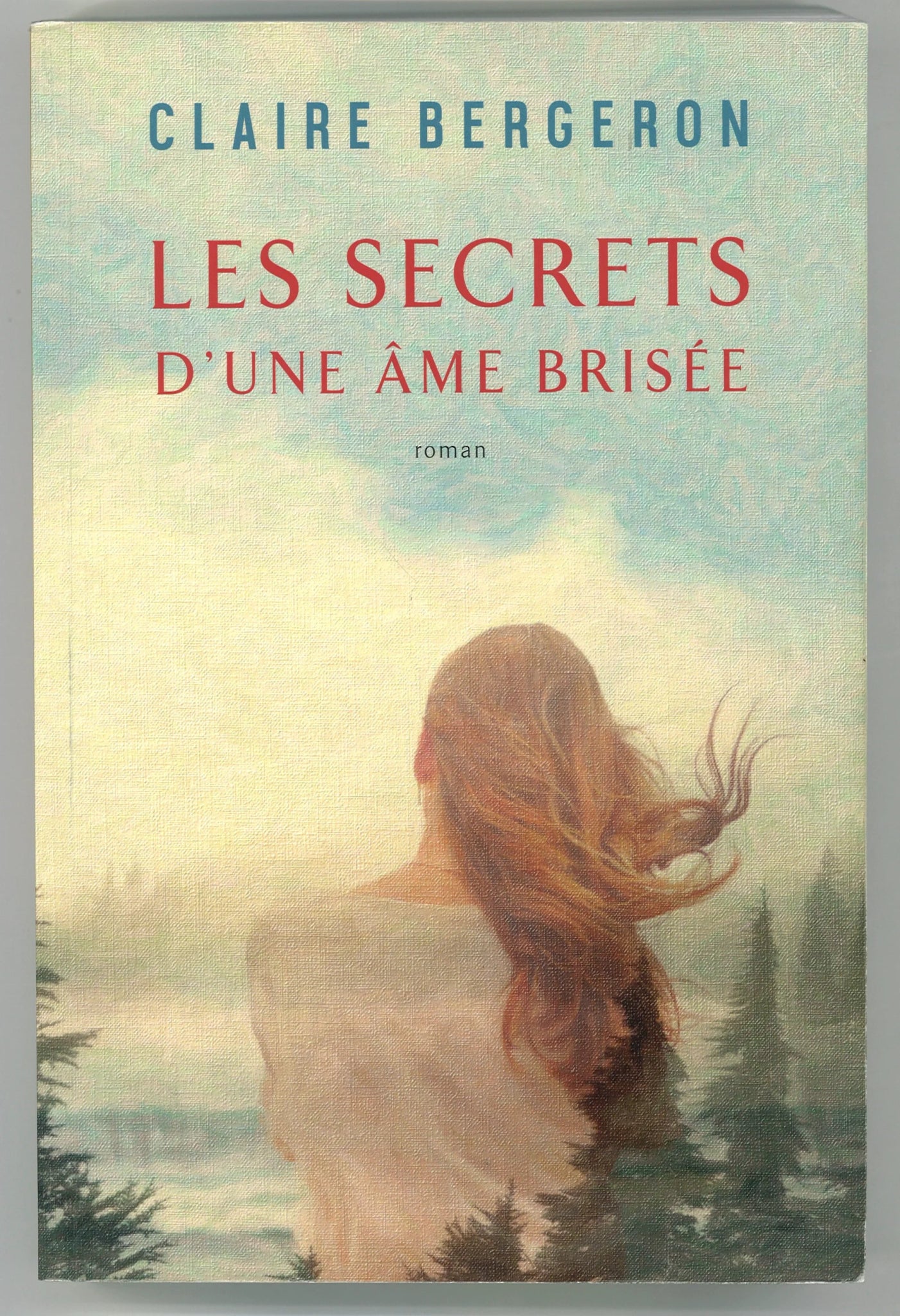 Les Secrets dune Âme Brisée (fr.) - The Bookstore