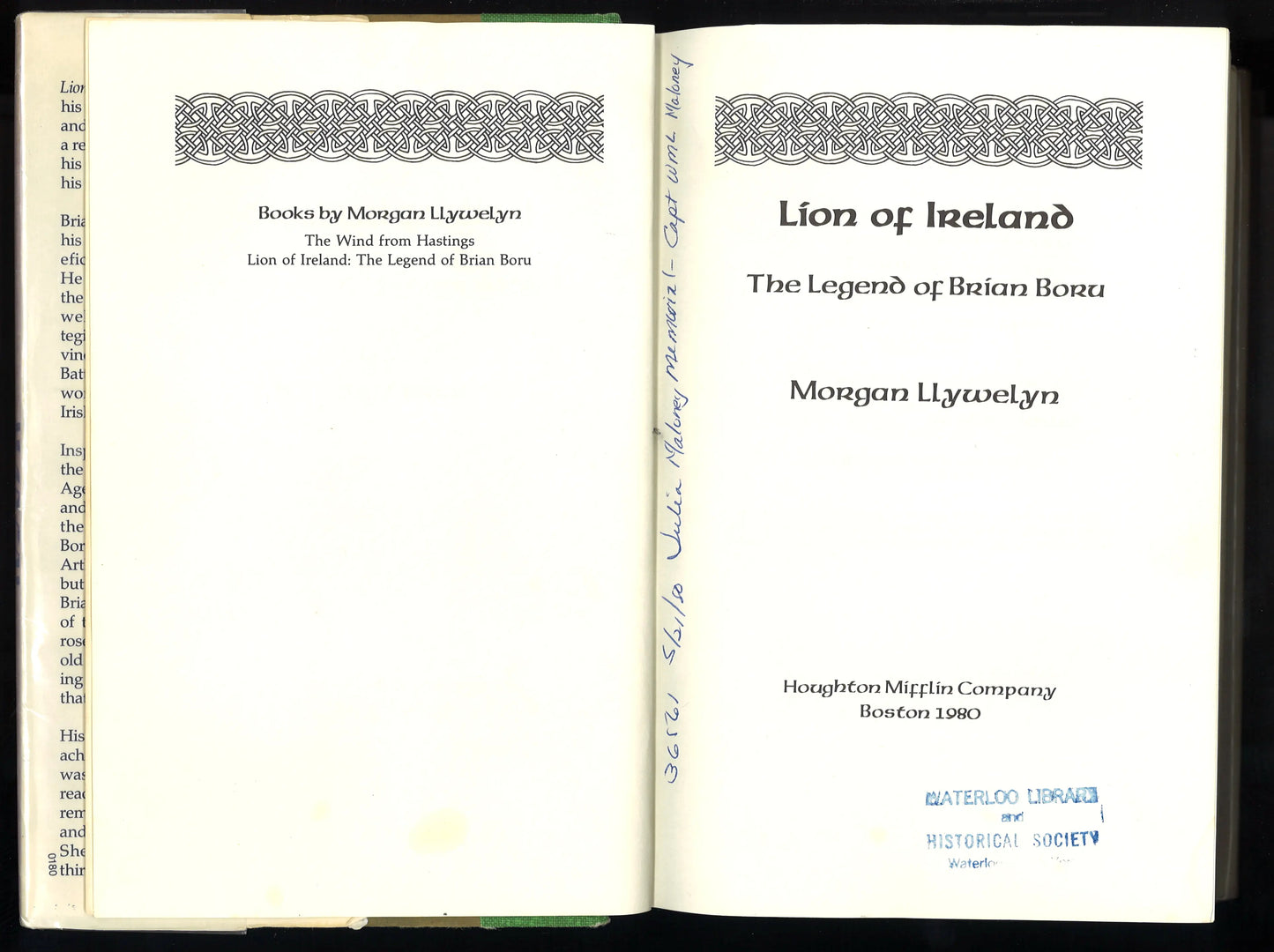 Lion Of Ireland: The Legend of Brian Boru