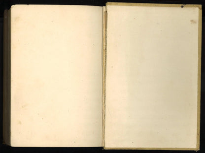 Little Sister Anne - The Bookstore