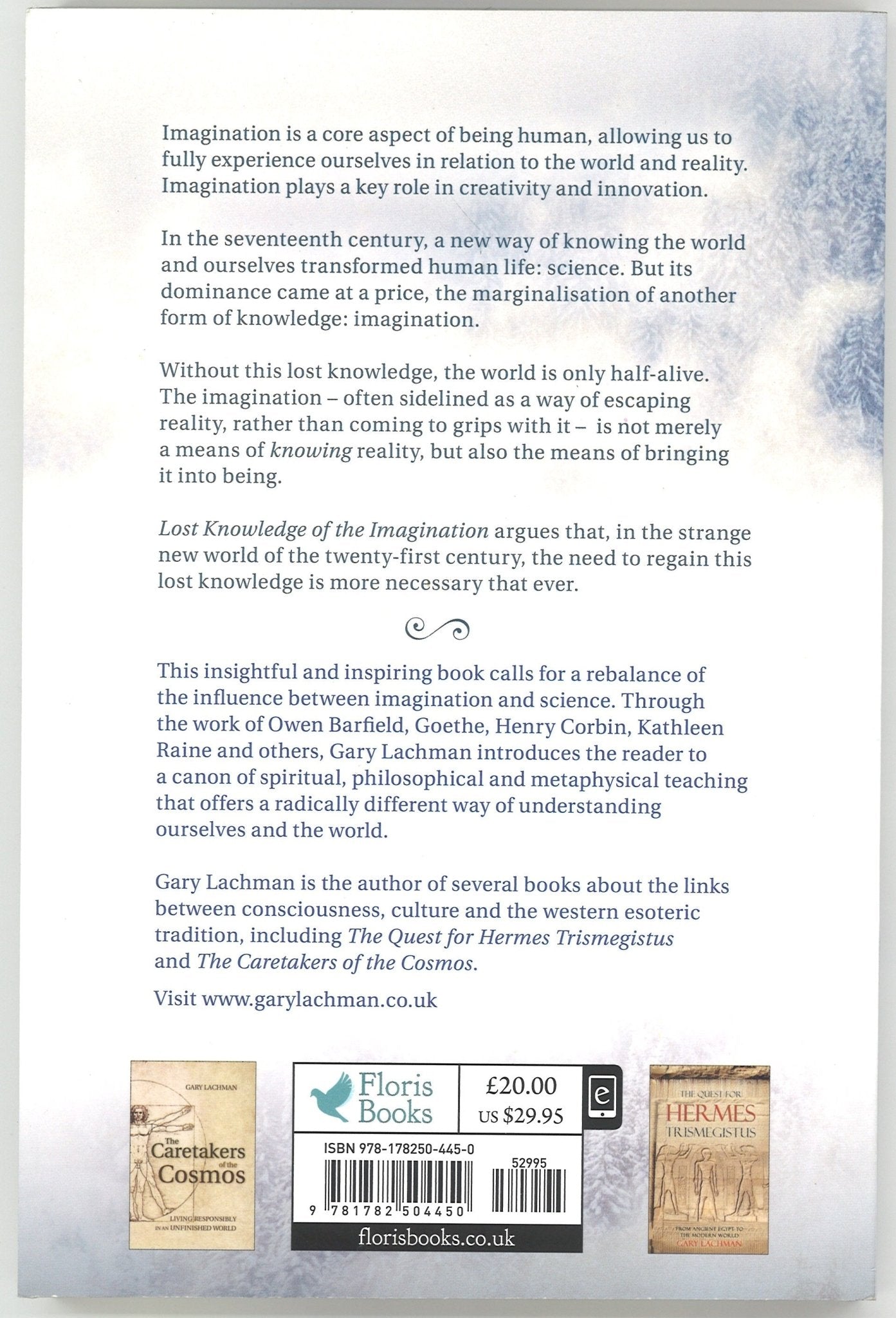 Lost Knowledge of the Imagination - The Bookstore